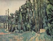 Paul Cezanne The Poplars oil painting on canvas